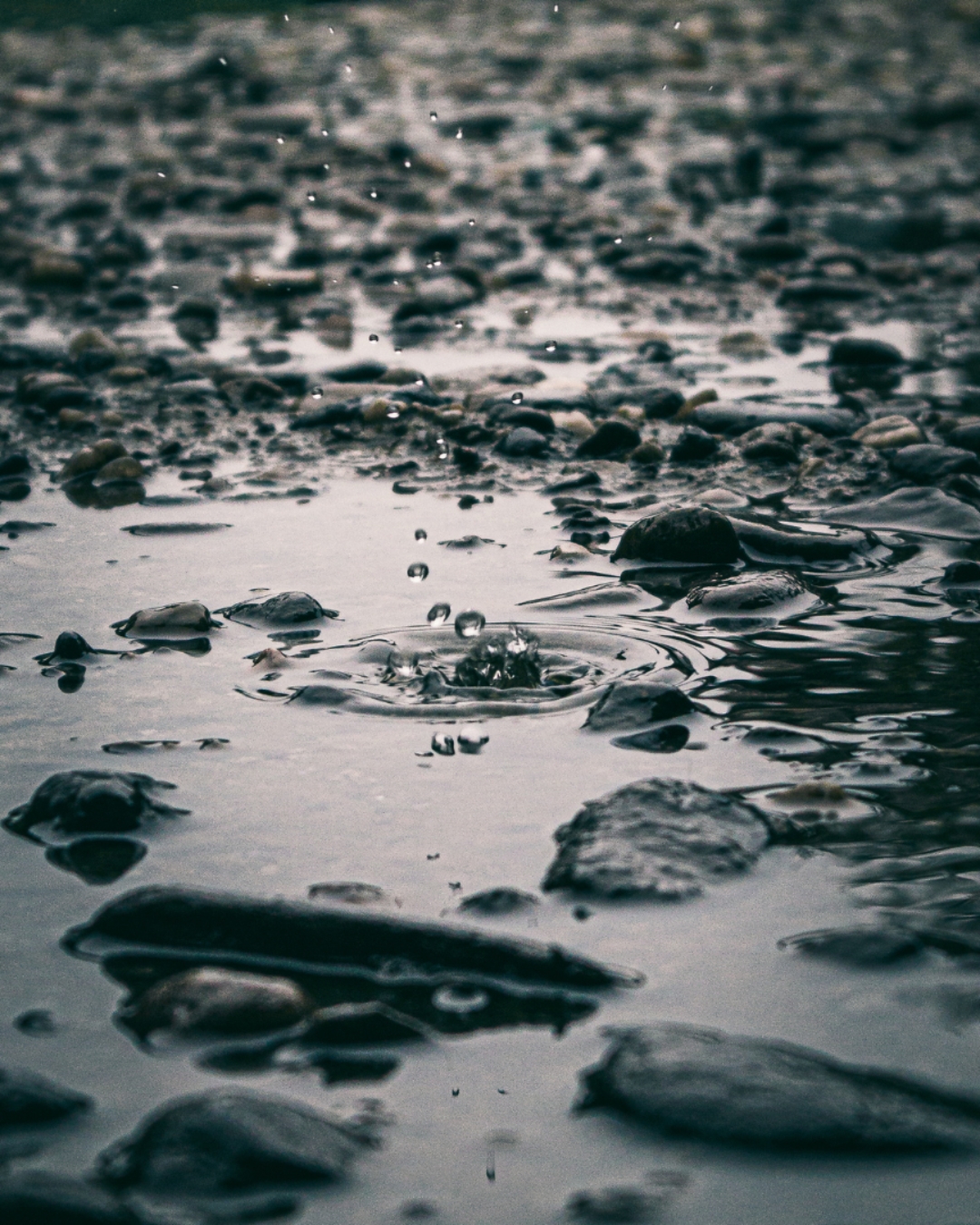 Reuso de Águas Negras: Tratamento Avançado e Soluções Fathor PH